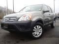 Silver Moss Metallic - CR-V Special Edition 4WD Photo No. 1