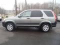 Silver Moss Metallic - CR-V Special Edition 4WD Photo No. 3