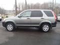 2005 Silver Moss Metallic Honda CR-V Special Edition 4WD  photo #3