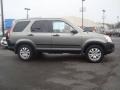 Silver Moss Metallic - CR-V Special Edition 4WD Photo No. 7