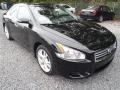 Super Black - Maxima 3.5 SV Photo No. 1
