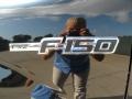 2011 Ebony Black Ford F150 FX2 SuperCrew  photo #12