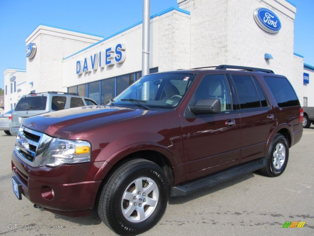 2010 Expedition XLT 4x4 - Royal Red Metallic / Camel photo #1
