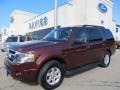 Royal Red Metallic 2010 Ford Expedition XLT 4x4