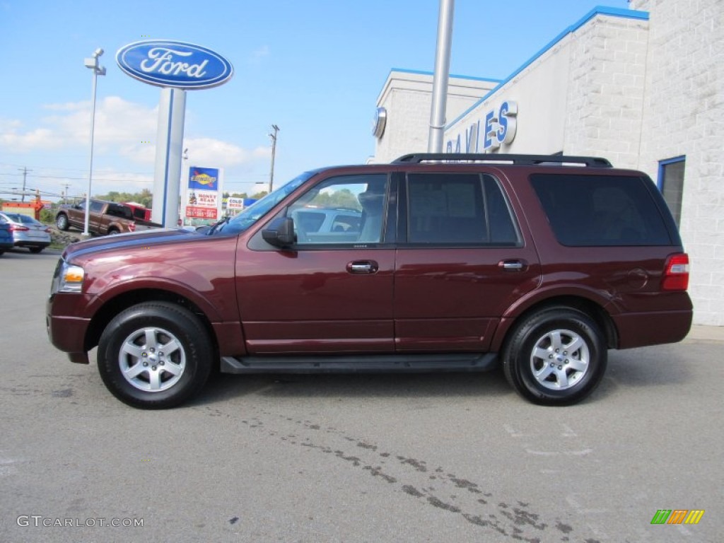 2010 Expedition XLT 4x4 - Royal Red Metallic / Camel photo #2