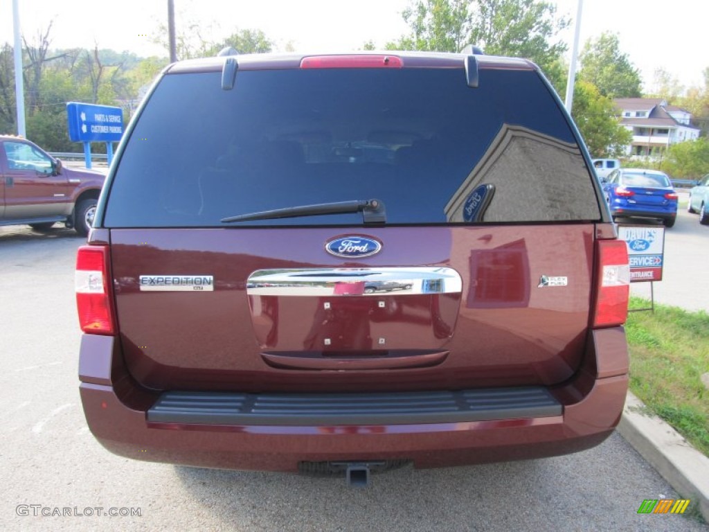 2010 Expedition XLT 4x4 - Royal Red Metallic / Camel photo #3