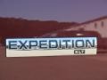  2010 Expedition XLT 4x4 Logo