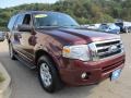 Royal Red Metallic - Expedition XLT 4x4 Photo No. 5