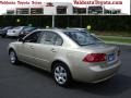 Light Almond Beige Metallic - Optima LX Photo No. 2