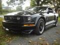 2008 Black Ford Mustang V6 Premium Coupe  photo #1