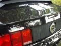 2008 Black Ford Mustang V6 Premium Coupe  photo #7