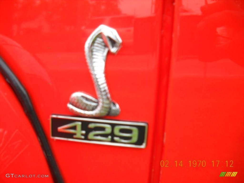 1951 Ford F1 Pickup Custom Marks and Logos Photo #54635616