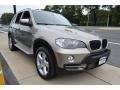 Platinum Bronze Metallic - X5 xDrive30i Photo No. 6