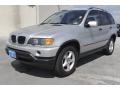 Titanium Silver Metallic - X5 3.0i Photo No. 3