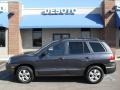 2005 Pewter Gray Hyundai Santa Fe GLS  photo #1