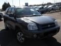 2005 Pewter Gray Hyundai Santa Fe GLS  photo #4