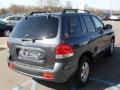 2005 Pewter Gray Hyundai Santa Fe GLS  photo #6