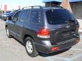 2005 Pewter Gray Hyundai Santa Fe GLS  photo #8