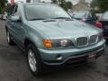 2002 Gray Green Metallic BMW X5 4.4i  photo #2