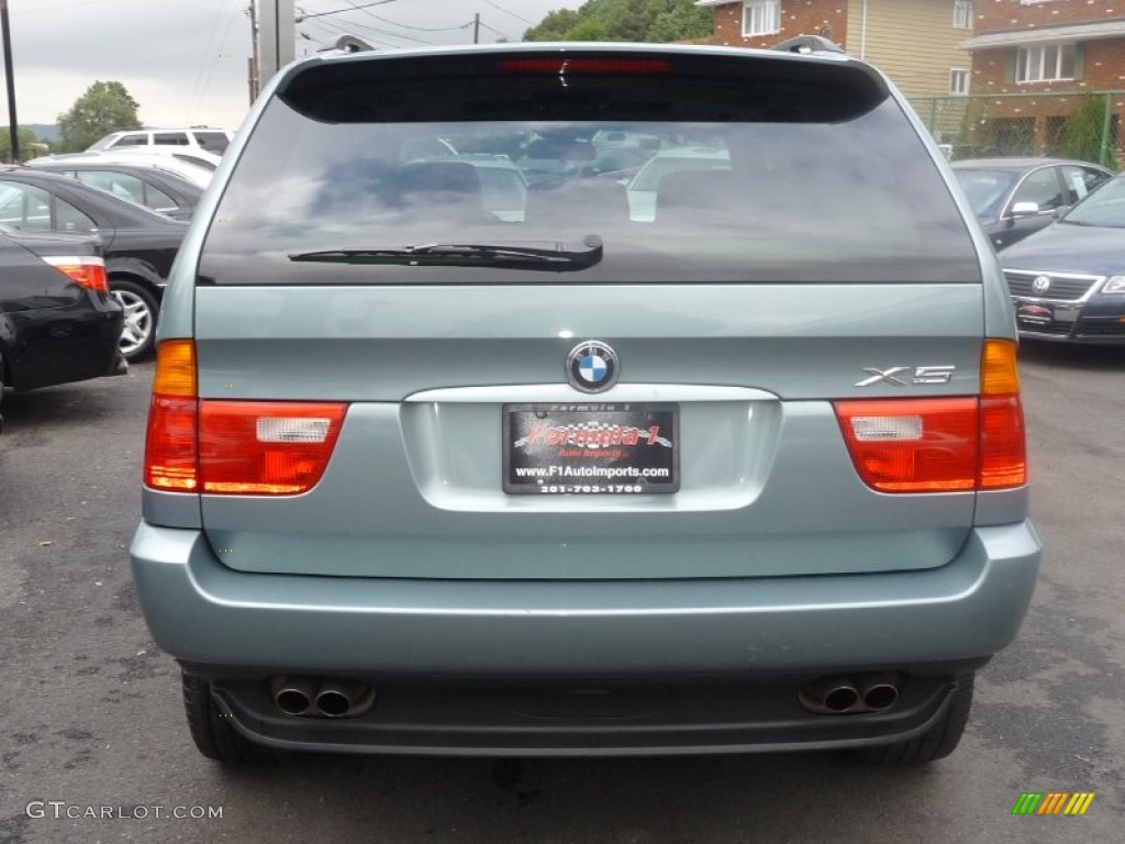 2002 X5 4.4i - Gray Green Metallic / Beige photo #3