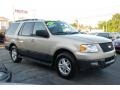 Pueblo Gold Metallic - Expedition XLT Photo No. 2