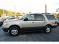 Pueblo Gold Metallic - Expedition XLT Photo No. 4