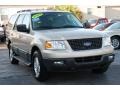 Pueblo Gold Metallic - Expedition XLT Photo No. 8