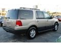 Pueblo Gold Metallic - Expedition XLT Photo No. 10