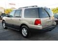 Pueblo Gold Metallic - Expedition XLT Photo No. 33