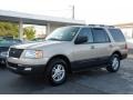 Pueblo Gold Metallic - Expedition XLT Photo No. 35