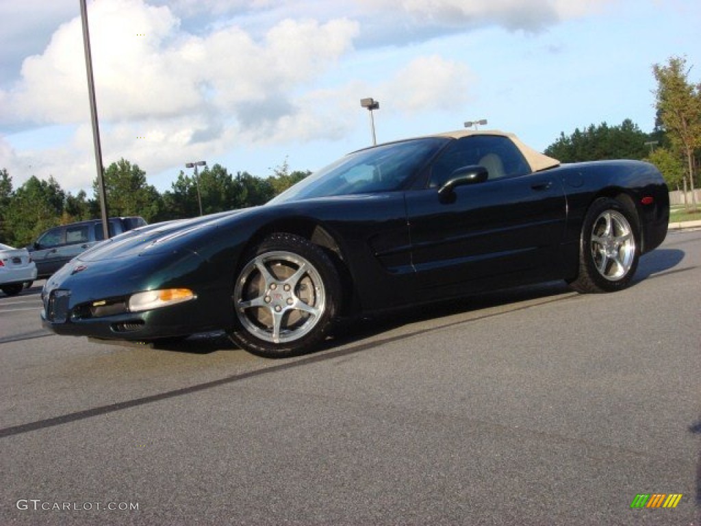 2000 Corvette Convertible - Dark Bowling Green Metallic / Light Oak photo #1