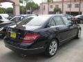 2009 Capri Blue Metallic Mercedes-Benz C 300 Luxury  photo #2