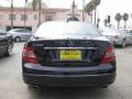 2009 Capri Blue Metallic Mercedes-Benz C 300 Luxury  photo #3