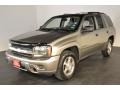 2008 Graystone Metallic Chevrolet TrailBlazer LS  photo #1