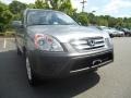 Silver Moss Metallic - CR-V EX 4WD Photo No. 1