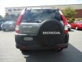 Silver Moss Metallic - CR-V EX 4WD Photo No. 4