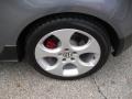 2009 Volkswagen GTI 2 Door Wheel and Tire Photo