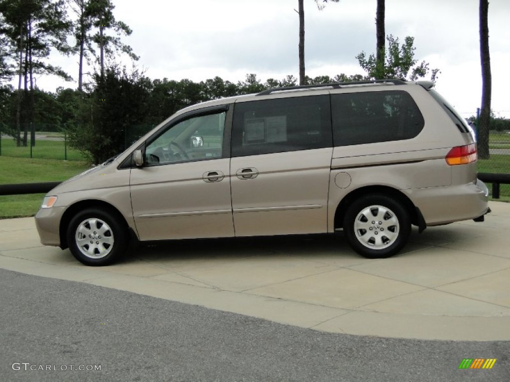 2004 Odyssey EX - Sandstone Metallic / Ivory photo #7