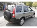 Silver Moss Metallic - CR-V EX 4WD Photo No. 6