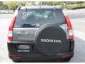 Silver Moss Metallic - CR-V EX 4WD Photo No. 7