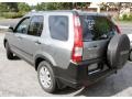 Silver Moss Metallic - CR-V EX 4WD Photo No. 9