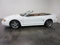 1998 Ultra White Ford Mustang SVT Cobra Convertible  photo #3