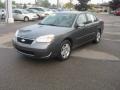 2006 Medium Gray Metallic Chevrolet Malibu LT Sedan  photo #10