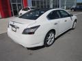 Winter Frost White - Maxima 3.5 SV Premium Photo No. 7
