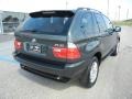 Highland Green Metallic - X5 3.0i Photo No. 4