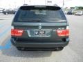 Highland Green Metallic - X5 3.0i Photo No. 5