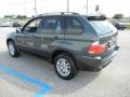 Highland Green Metallic - X5 3.0i Photo No. 6