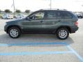 Highland Green Metallic - X5 3.0i Photo No. 7