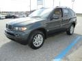 Highland Green Metallic - X5 3.0i Photo No. 8