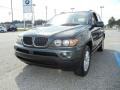 Highland Green Metallic - X5 3.0i Photo No. 9
